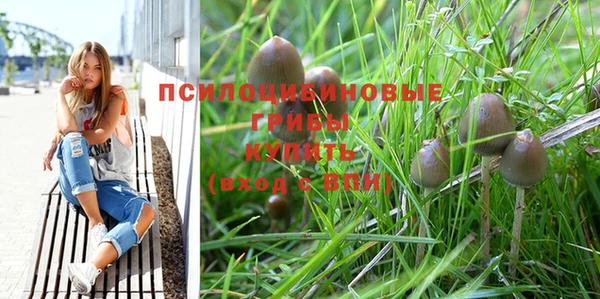 соль ск Лагань