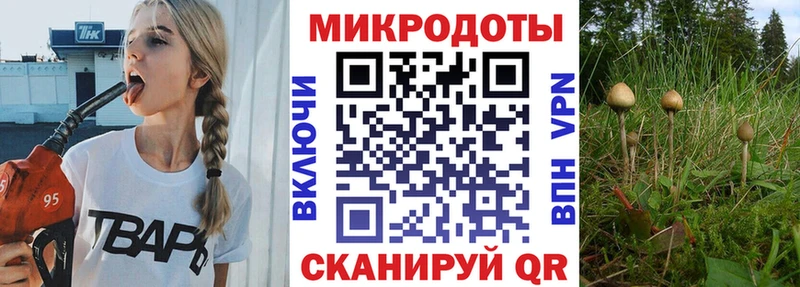 Псилоцибиновые грибы Psilocybe  Спасск-Рязанский 